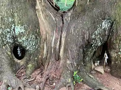 日吉神社(千葉県)