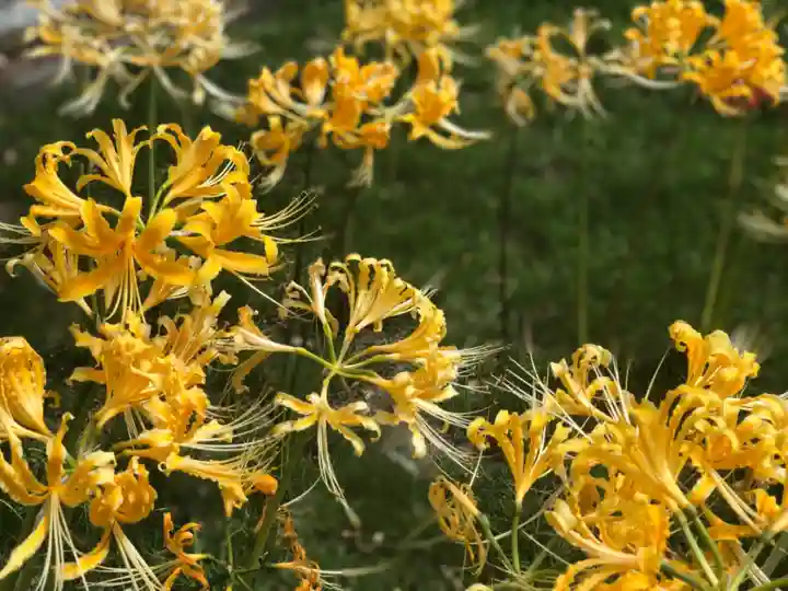横浜 西方寺の自然