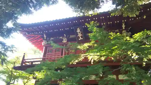 本土寺のその他建物