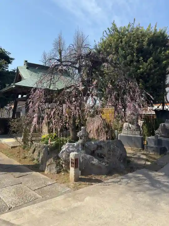 芳林寺(埼玉県)