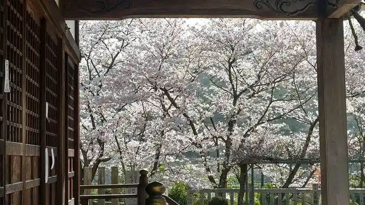 木華佐久耶比咩神社の自然