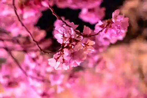 新城藤原神社(長野県)