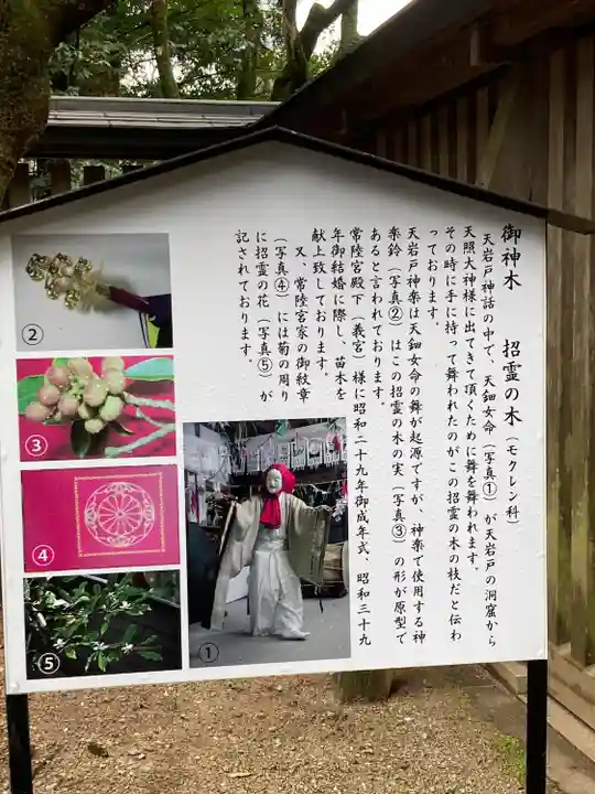 天岩戸神社(宮崎県)