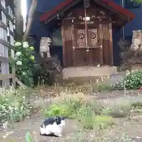 十条八雲神社の動物