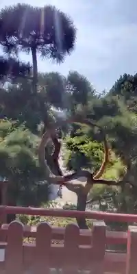 清水観音堂(東京都)