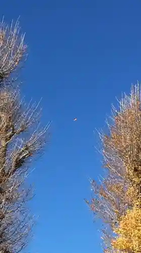 春日神社の自然