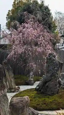 本法寺(京都府)