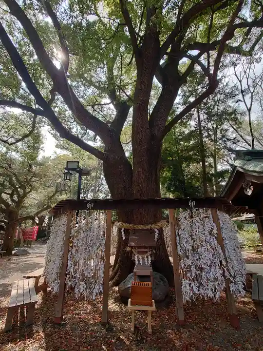 平塚八幡宮(神奈川県)