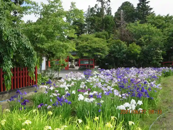 大鏑矢神社の自然
