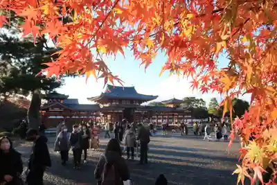 平等院のその他建物