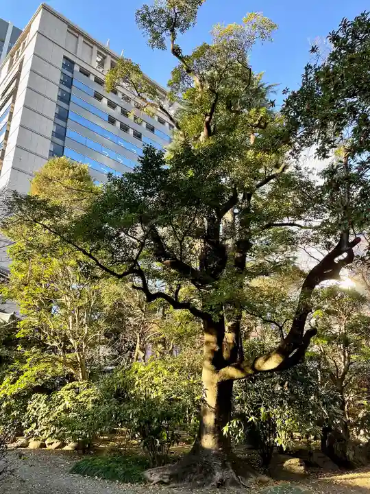 天徳寺(東京都)
