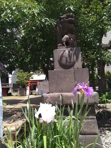 磐井神社の狛犬