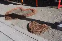 出雲大神宮(京都府)