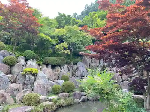 宝徳寺の庭園