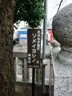 元町厳島神社のその他建物