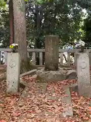 岩屋寺の建物その他