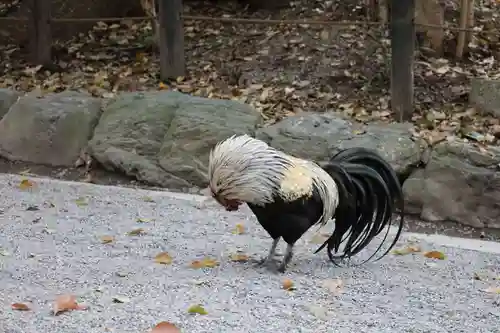 熱田神宮(愛知県)