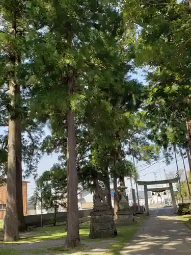 示野神明宮の鳥居