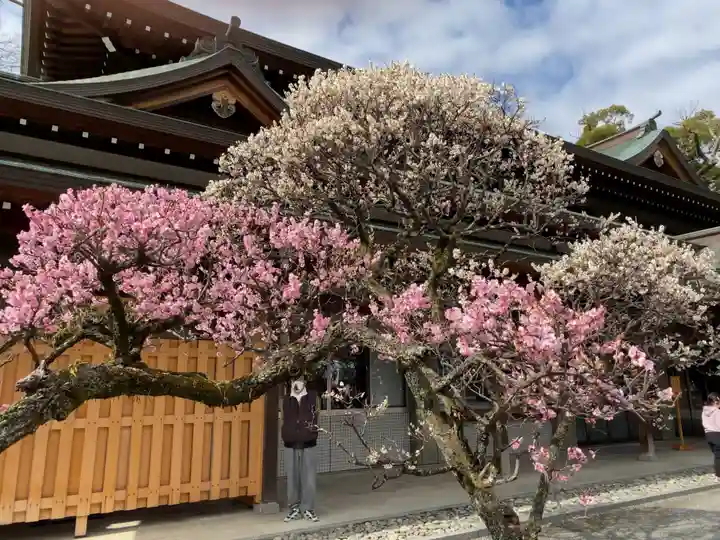 三嶋大社の自然