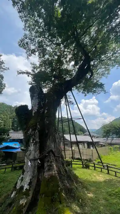 足鹿神社の{uncategorized: "未分類", other: "その他", undefined: "問題あり", building: "その他建物", grave: "お墓", sacred_gate: "鳥居", guardian: "狛犬", statue: "像", buddha: "仏像", history: "歴史", nature: "自然", garden: "庭園", animal: "動物", pagoda: "塔", temizu: "手水舎", mountain_gate: "山門・神門", sanctuary: "本殿・本堂", subordinate: "末社・摂社", art: "芸術", scenery: "景色", jizo: "地蔵", ema: "絵馬", goshuin: "御朱印", omikuji: "おみくじ", items: "授与品その他", amulet: "お守り", goshuincho: "御朱印帳", eats: "食事", festival: "お祭り", votive_dance: "神楽", shichigosan: "七五三参", wedding: "結婚式", experience: "体験その他", initially: "初詣", around: "周辺", anti_infection: "感染症対策"}
