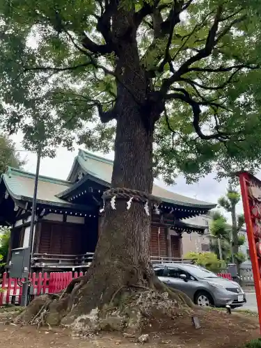 東京羽田 穴守稲荷神社の{uncategorized: "未分類", other: "その他", undefined: "問題あり", building: "その他建物", grave: "お墓", sacred_gate: "鳥居", guardian: "狛犬", statue: "像", buddha: "仏像", history: "歴史", nature: "自然", garden: "庭園", animal: "動物", pagoda: "塔", temizu: "手水舎", mountain_gate: "山門・神門", sanctuary: "本殿・本堂", subordinate: "末社・摂社", art: "芸術", scenery: "景色", jizo: "地蔵", ema: "絵馬", goshuin: "御朱印", omikuji: "おみくじ", items: "授与品その他", amulet: "お守り", goshuincho: "御朱印帳", eats: "食事", festival: "お祭り", votive_dance: "神楽", shichigosan: "七五三参", wedding: "結婚式", experience: "体験その他", initially: "初詣", around: "周辺", anti_infection: "感染症対策"}