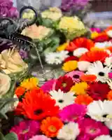 札幌諏訪神社の手水舎