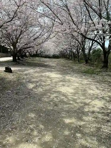 貴船神社の自然