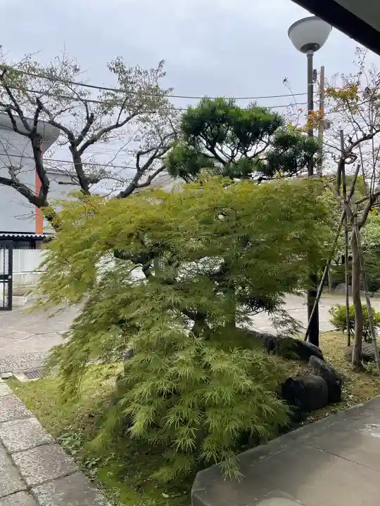 春慶院(東京都)