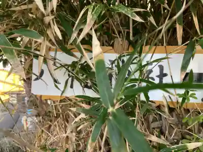 岡田八幡神社の{uncategorized: "未分類", other: "その他", undefined: "問題あり", building: "その他建物", grave: "お墓", sacred_gate: "鳥居", guardian: "狛犬", statue: "像", buddha: "仏像", history: "歴史", nature: "自然", garden: "庭園", animal: "動物", pagoda: "塔", temizu: "手水舎", mountain_gate: "山門・神門", sanctuary: "本殿・本堂", subordinate: "末社・摂社", art: "芸術", scenery: "景色", jizo: "地蔵", ema: "絵馬", goshuin: "御朱印", omikuji: "おみくじ", items: "授与品その他", amulet: "お守り", goshuincho: "御朱印帳", eats: "食事", festival: "お祭り", votive_dance: "神楽", shichigosan: "七五三参", wedding: "結婚式", experience: "体験その他", initially: "初詣", around: "周辺", anti_infection: "感染症対策"}