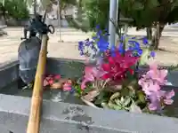 三津厳島神社の手水舎