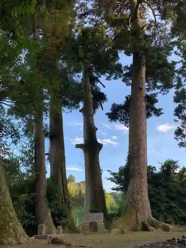 香取神社の自然