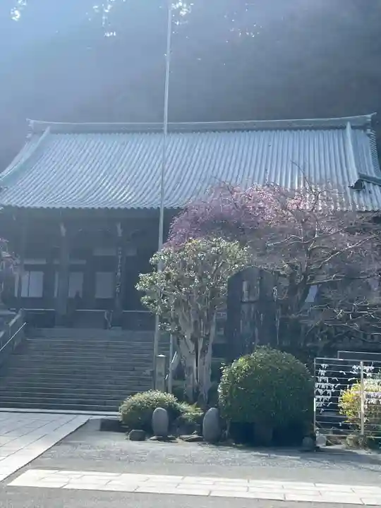 最乗寺(道了尊)(神奈川県)