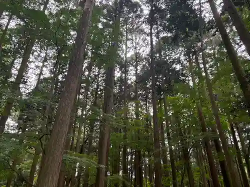 田村神社の自然