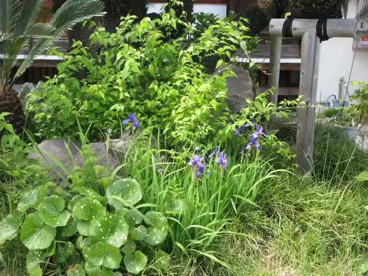 温泉寺(静岡県)
