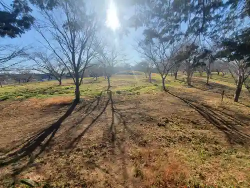 亀岡八幡宮(栃木県)