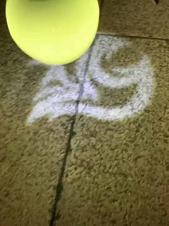 豊川閣 妙厳寺の体験その他