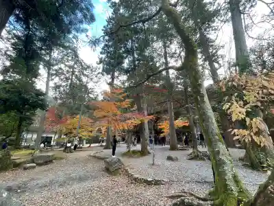 南禅院(京都府)