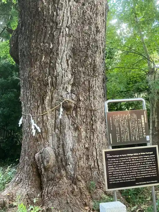 芝東照宮(東京都)