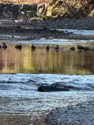 伊勢神宮内宮（皇大神宮）(三重県)