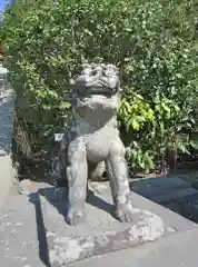 鶴岡八幡宮の狛犬