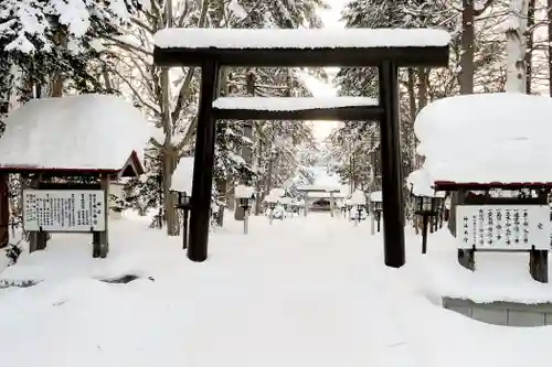 秩父神社の鳥居