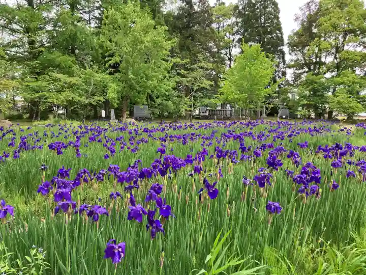 作楽神社(岡山県)