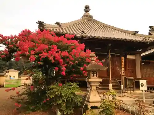 真言宗　善通寺派　薬王寺の本殿・本堂