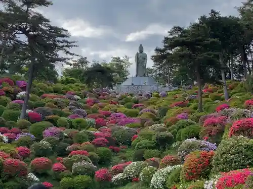 塩船観音寺の景色