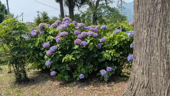 浄妙寺(福井県)