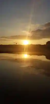 熊野神社の景色