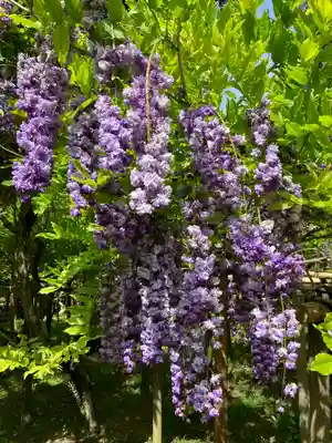 春日大社(奈良県)