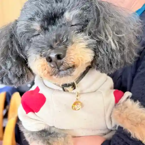 諏訪神社(宮城県)