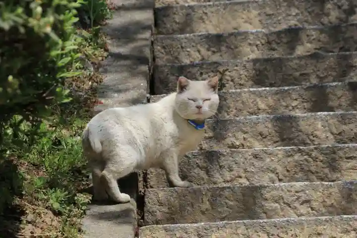 長屋神社の動物