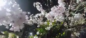 厄除の宮 駒林神社(兵庫県)(2023年04月01日(土) 20時47分24秒投稿)